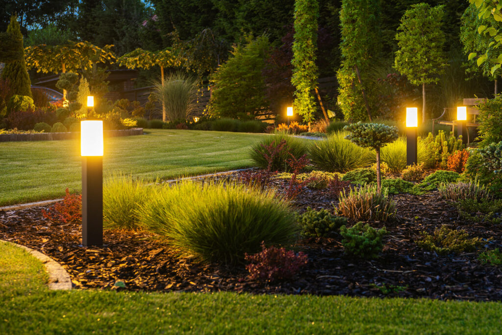 Outdoor lighting designed to showcase the backyard.